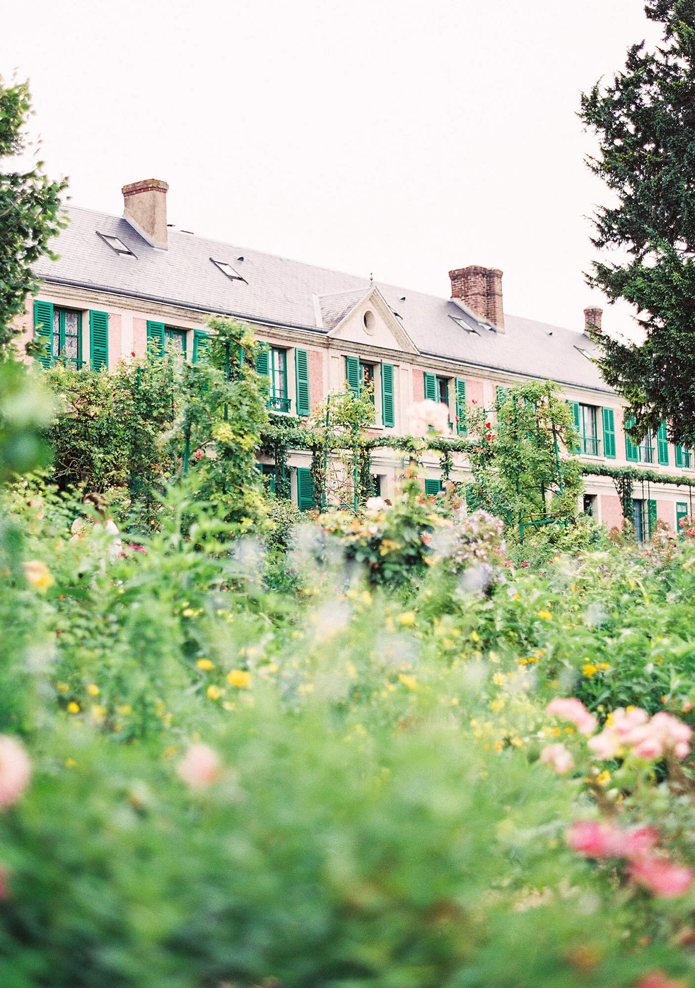 Hidden in the Garden — Kayla Barker Fine Art Prints and Photo